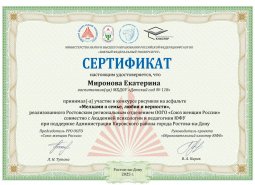 img (11)